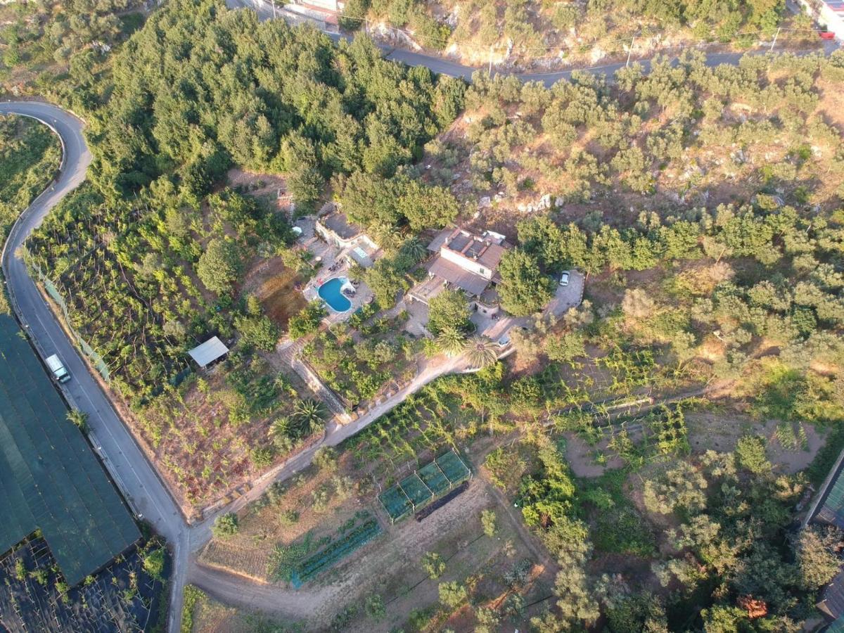 Stato Di Grazia Shared Swimming Pool And Garden With One Villa Massa Lubrense Exterior foto